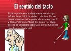 El sentido del tacto | Recurso educativo 580186