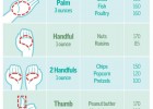 Chart showing relative size of portions relative to a hand. | Recurso educativo 733474