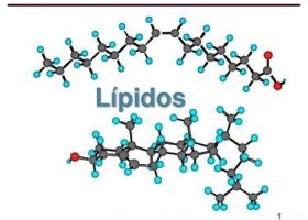 Estructura de los lípidos | Recurso educativo 749621