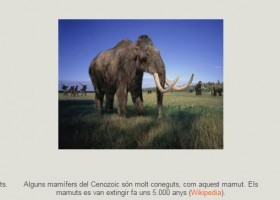 El Cenozoic: l'era dels mamífers | Recurso educativo 750313