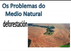 O Medio Natural | Recurso educativo 752791