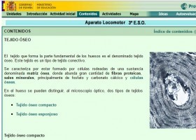 Teixit ossi | Recurso educativo 754709