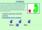 Enzimas. Aspectos generales. | Recurso educativo 755457