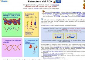 Estructura del ADN | Recurso educativo 755512