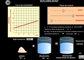 Simulador solubilidad | Recurso educativo 759011