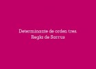 Determinante de una matriz 3×3. Regla de Sarrus | Recurso educativo 760122