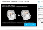 Percebre una funció del cervell | Recurso educativo 762617