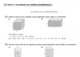 Áreas y volúmenes | Recurso educativo 776264