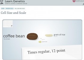 Cell Size and Scale | Recurso educativo 7901825