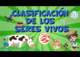 LA CLASIFICACIÓN DE LOS SERES VIVOS| Vídeos Educativos para Niños | Recurso educativo 7903614